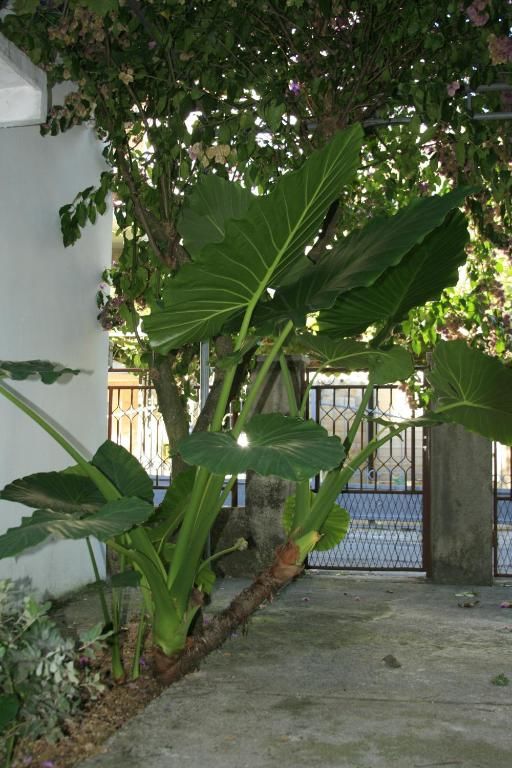 Апартаменты Apartments Budva Center Будва-66