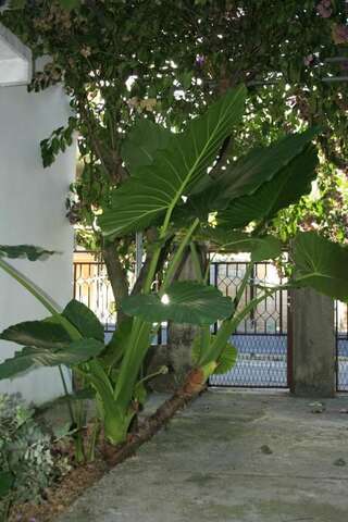 Апартаменты Apartments Budva Center Будва Номер-студио с балконом-30