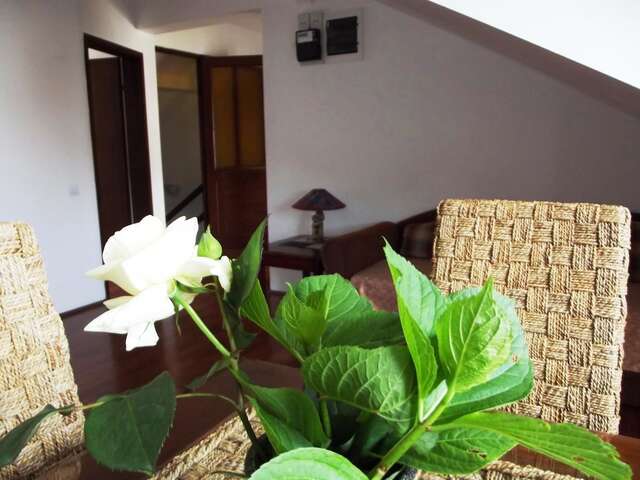 Апартаменты Apartments Budva Center Будва-31