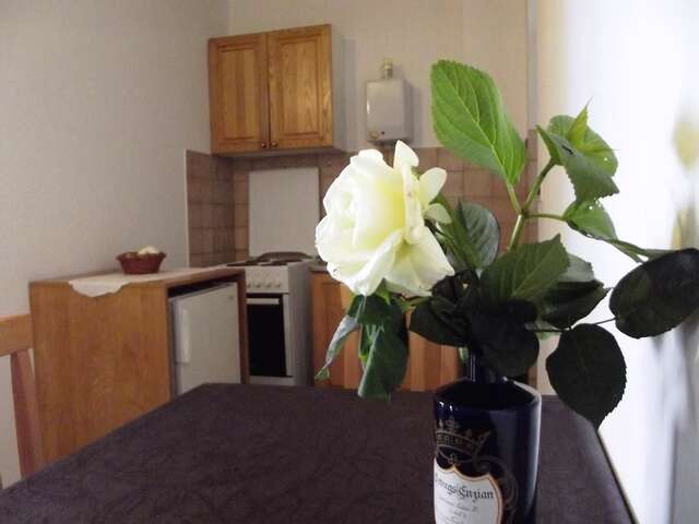 Апартаменты Apartments Budva Center Будва-40