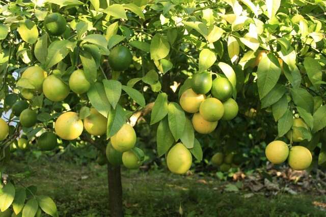 Апартаменты Apartments Budva Center Будва-62